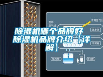 企業新聞除濕機哪個品牌好 除濕機品牌介紹【詳解】