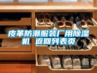 行業新聞皮革防潮服裝廠用除濕機 返回列表頁