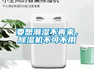 知識百科要想潮濕不再來，除濕機不可不用