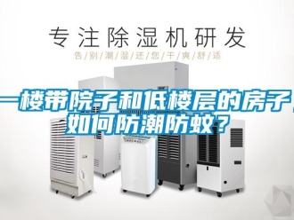 常見問題一樓帶院子和低樓層的房子，如何防潮防蚊？