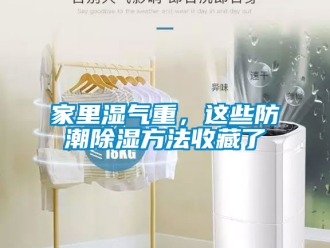 常見問題家里濕氣重，這些防潮除濕方法收藏了