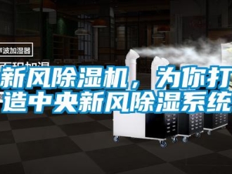知識百科新風除濕機，為你打造中央新風除濕系統