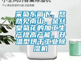 企業新聞采菊東籬下，悠然見南山，金絲皇菊花的加工生產提高產能，升溫型烘干工業除濕機