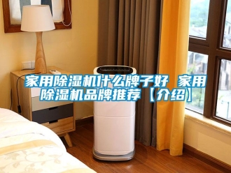 企業新聞家用除濕機什么牌子好 家用除濕機品牌推薦【介紹】