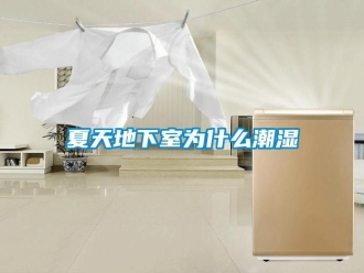 企業新聞夏天地下室為什么潮濕