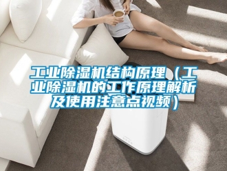 常見問題工業除濕機結構原理（工業除濕機的工作原理解析及使用注意點視頻）