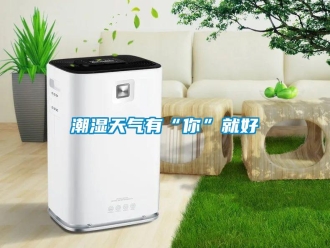 企業新聞潮濕天氣有“你”就好