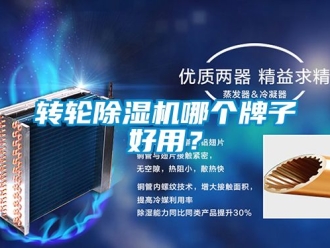 常見問題轉輪除濕機哪個牌子好用？