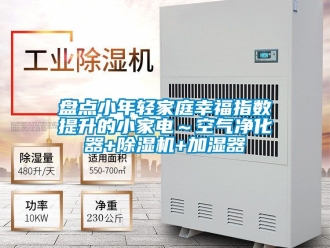 行業新聞盤點小年輕家庭幸福指數提升的小家電～空氣凈化器+除濕機+加濕器