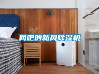 知識百科網吧的新風除濕機