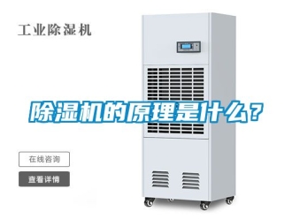 企業新聞除濕機的原理是什么？