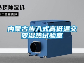 常見問題內蒙古步入式高低溫交變濕熱試驗室