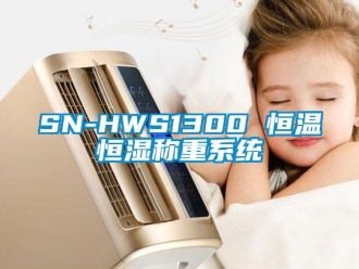 常見問題SN-HWS1300 恒溫恒濕稱重系統