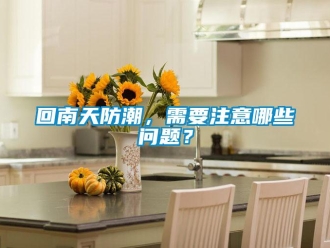 常見問題回南天防潮，需要注意哪些問題？