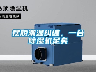 常見問題擺脫潮濕糾纏，一臺除濕機足矣