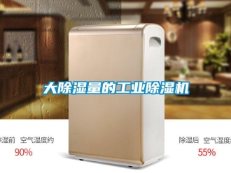 常見問題大除濕量的工業除濕機