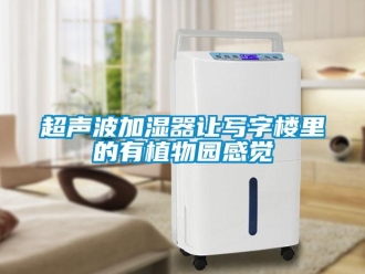 企業新聞超聲波加濕器讓寫字樓里的有植物園感覺