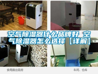 行業新聞空氣除濕器什么品牌好 空氣除濕器怎么選擇【詳解】