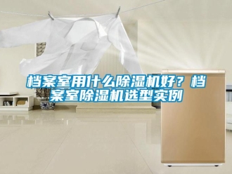 企業新聞檔案室用什么除濕機好？檔案室除濕機選型實例