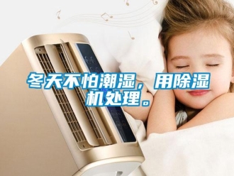 企業新聞冬天不怕潮濕，用除濕機處理。