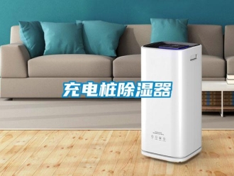 企業新聞充電樁除濕器