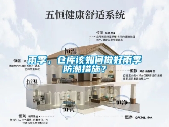 常見問題雨季，倉庫該如何做好雨季防潮措施？