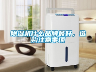 企業新聞除濕機什么品牌最好，選購注意事項