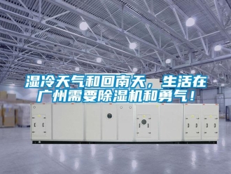 知識百科濕冷天氣和回南天，生活在廣州需要除濕機和勇氣！