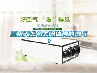 常見問題三伏天怎么去除體內的濕氣？