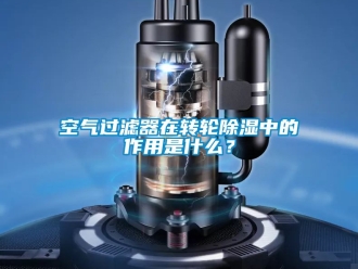 行業新聞空氣過濾器在轉輪除濕中的作用是什么？