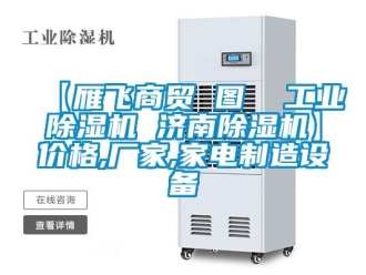 企業新聞【雁飛商貿 圖  工業除濕機 濟南除濕機】價格,廠家,家電制造設備