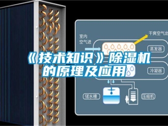 企業新聞《技術知識》除濕機的原理及應用