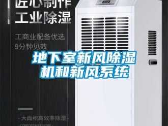 企業新聞地下室新風除濕機和新風系統