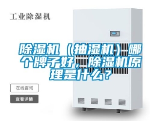 企業新聞除濕機（抽濕機）哪個牌子好，除濕機原理是什么？