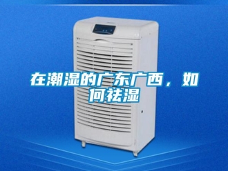 常見問題在潮濕的廣東廣西，如何祛濕