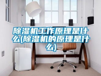 行業新聞除濕機工作原理是什么(除濕機的原理是什么)