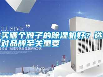 行業新聞買哪個牌子的除濕機好？選對品牌至關重要