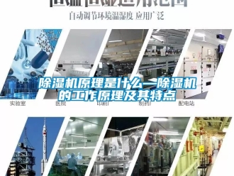 行業新聞除濕機原理是什么—除濕機的工作原理及其特點