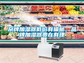 知識百科雜牌加濕器低價有貓膩，品牌加濕器貴在有理