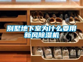 常見問題別墅地下室為什么要用新風除濕機