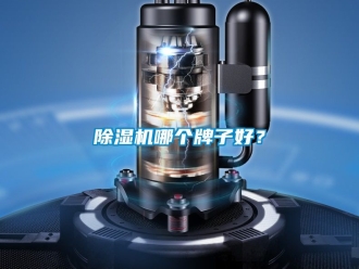 行業新聞除濕機哪個牌子好？