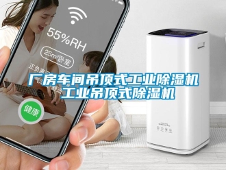 常見問題廠房車間吊頂式工業除濕機 工業吊頂式除濕機