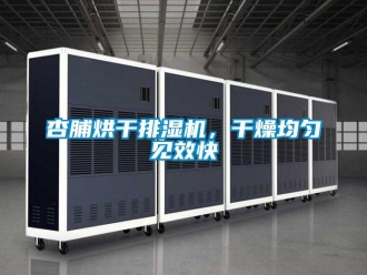 知識百科杏脯烘干排濕機，干燥均勻見效快