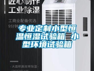 知識百科專業定制小型恒溫恒濕試驗箱 小型環境試驗箱