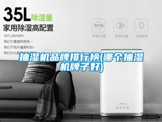 企業新聞抽濕機品牌排行榜(哪個抽濕機牌子好)