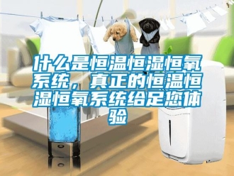 知識百科什么是恒溫恒濕恒氧系統，真正的恒溫恒濕恒氧系統給足您體驗
