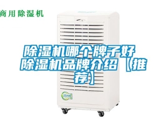 企業新聞除濕機哪個牌子好 除濕機品牌介紹【推薦】