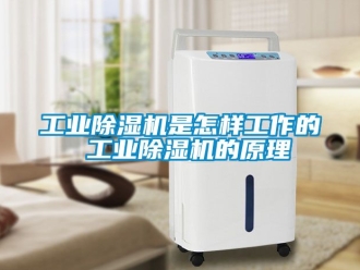常見問題工業除濕機是怎樣工作的 工業除濕機的原理