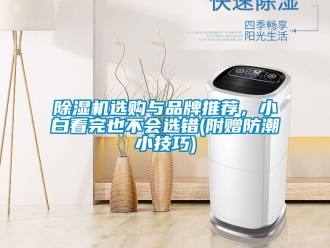 企業新聞除濕機選購與品牌推薦，小白看完也不會選錯(附贈防潮小技巧)