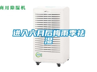 行業新聞進入六月后梅雨季祛濕